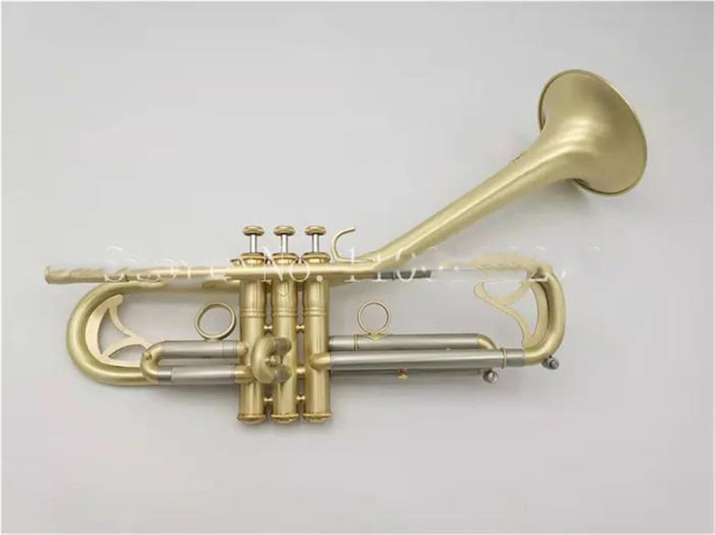 Bb Trumpet with Case and Mouthpiece T4731