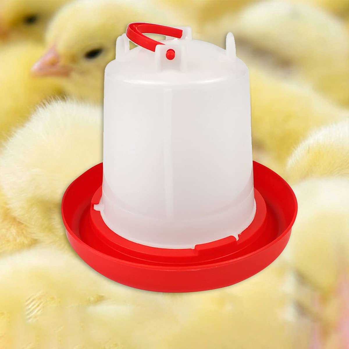 4 Pack 1 L Plastic Poultry Waterer E65221