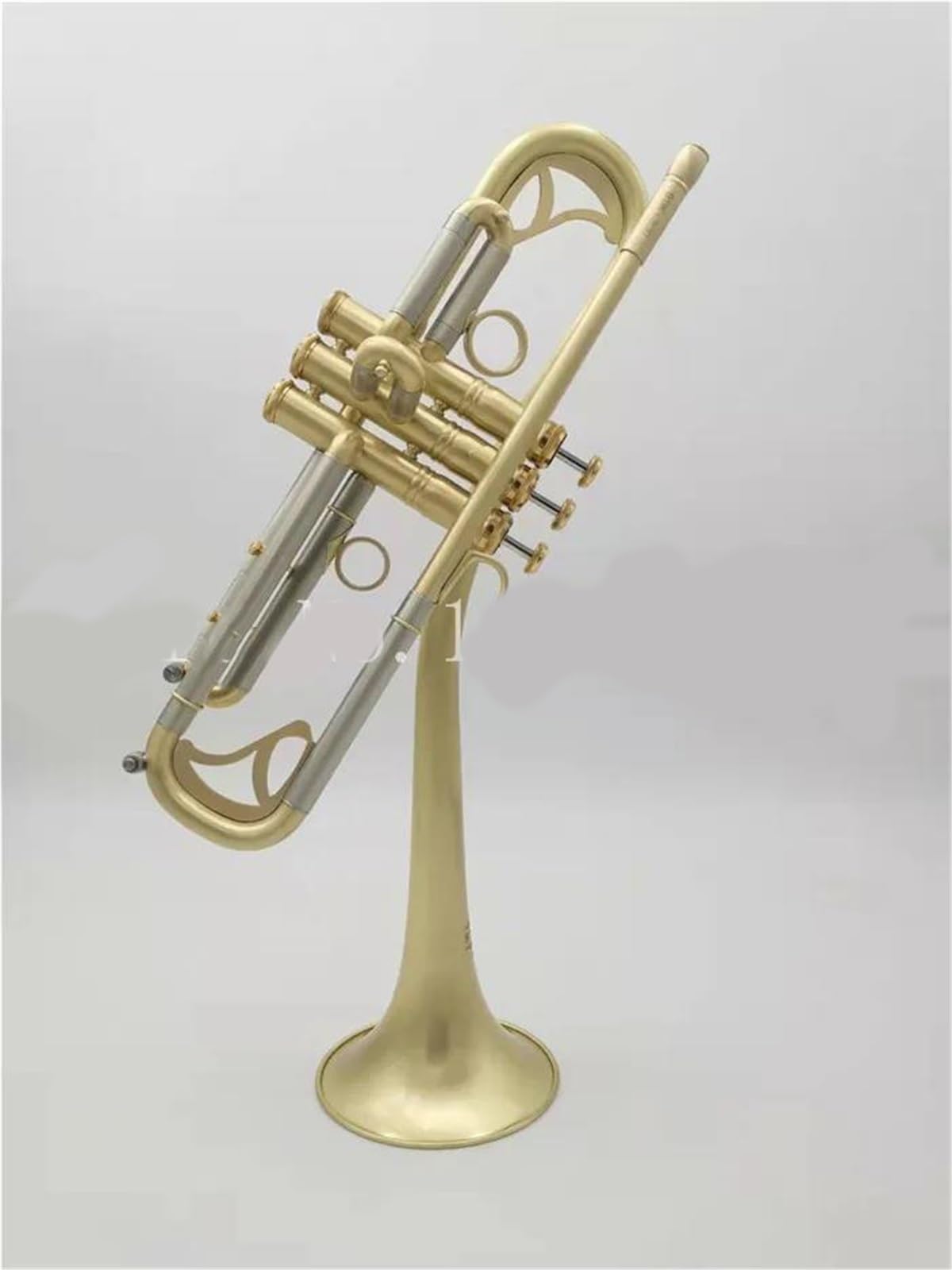 Bb Trumpet with Case and Mouthpiece T4731