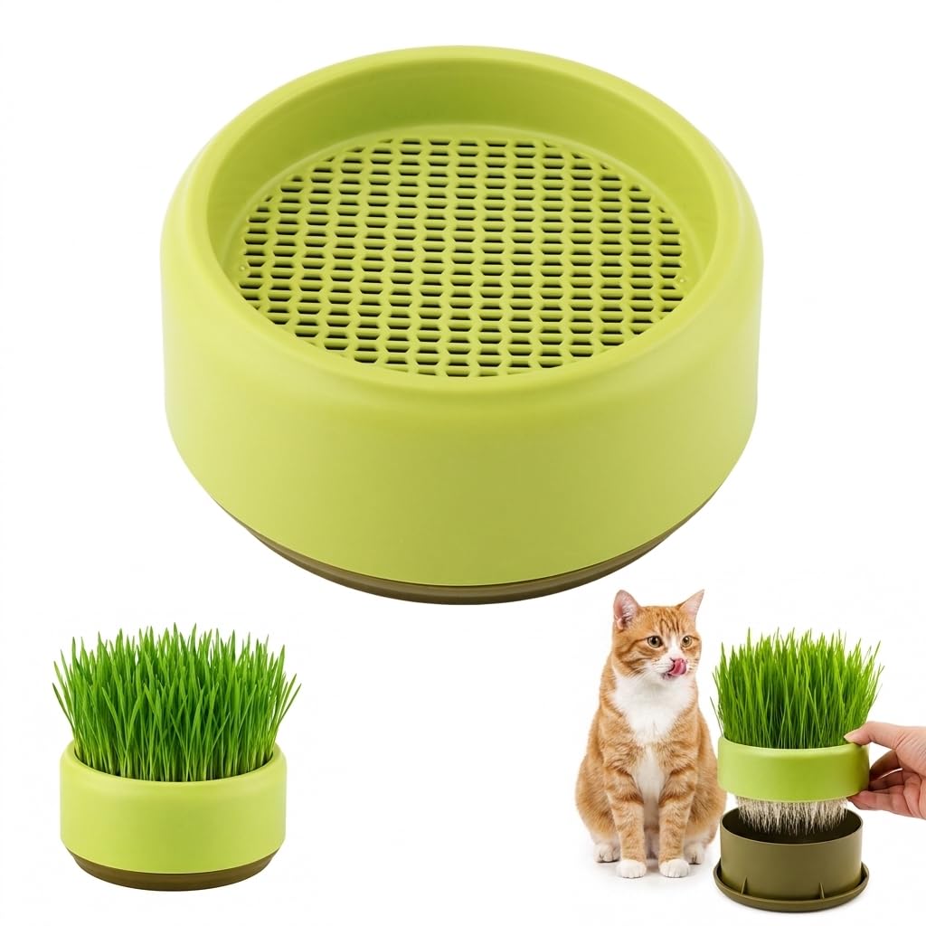 Hydroponic Cat Grass Grow Box C776