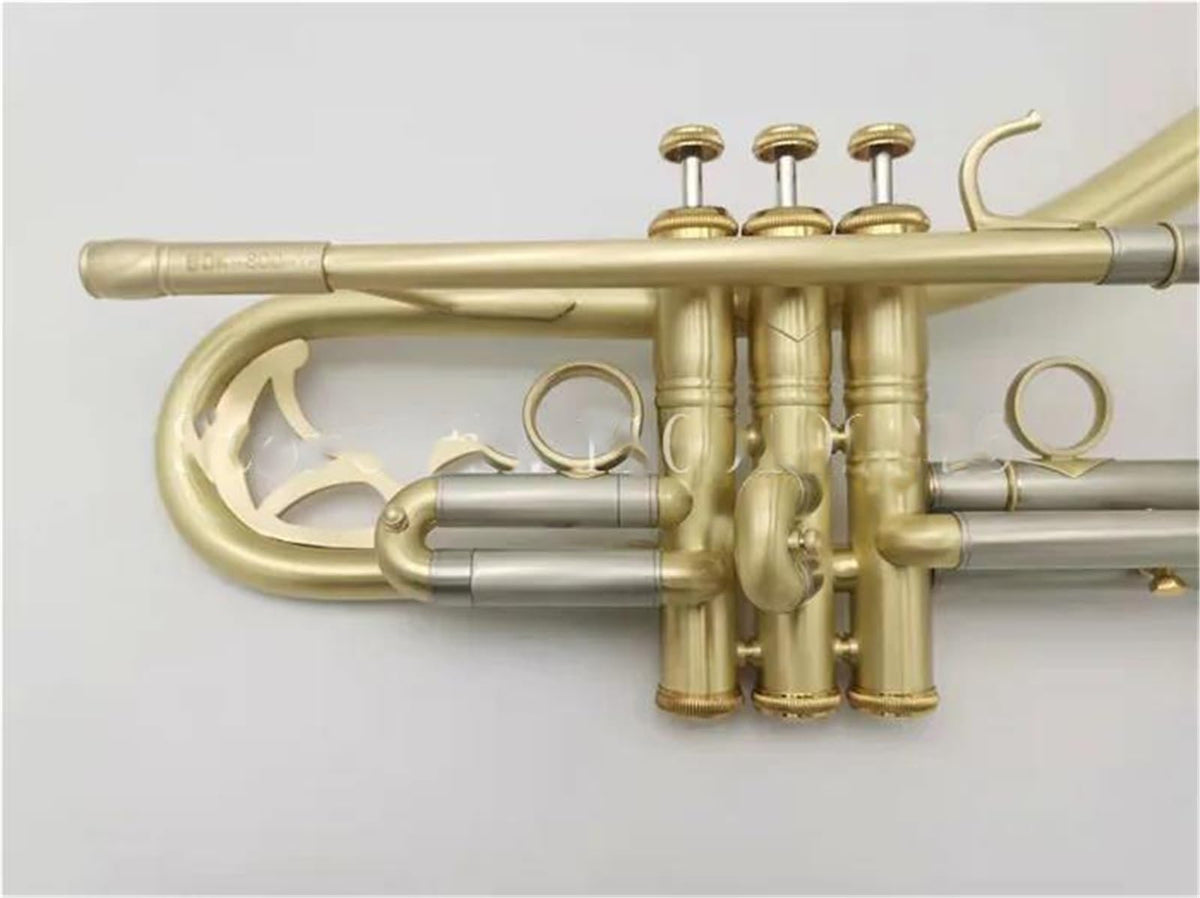Bb Trumpet with Case and Mouthpiece T4731