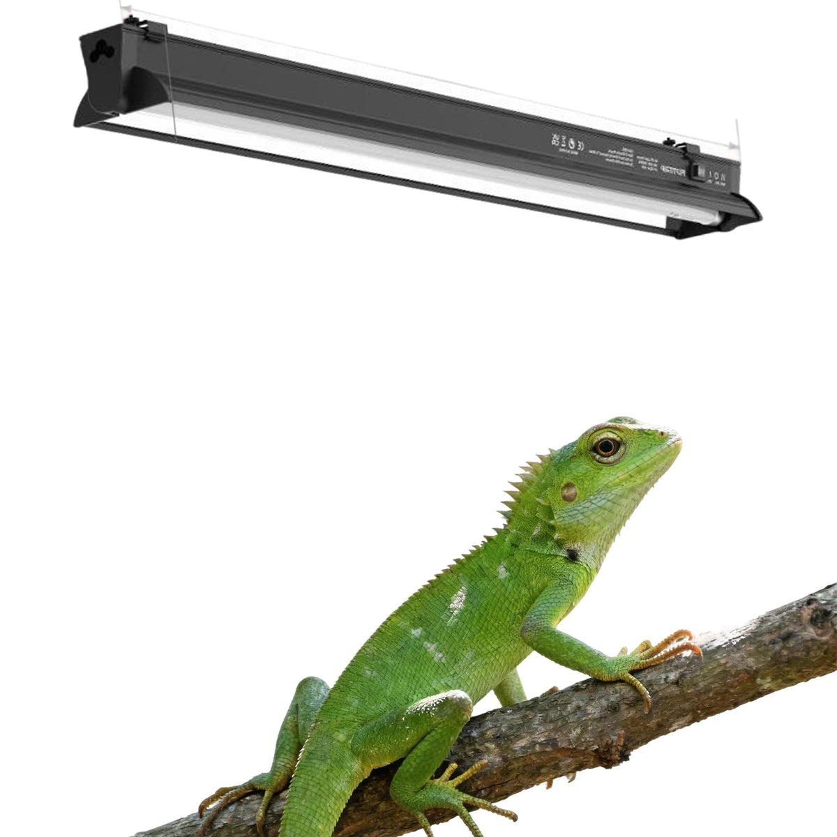 15W T5 HO UVB Terrarium Hood with Detachable Curved Reflector P266528