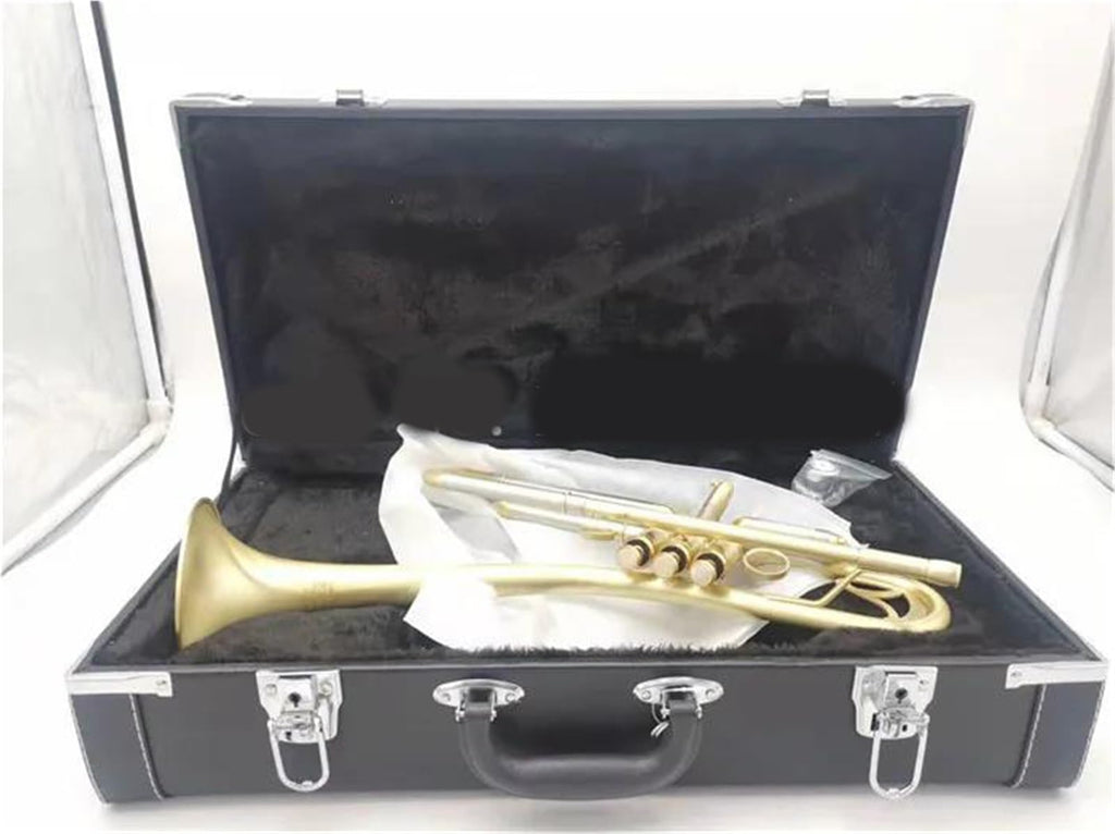 Bb Trumpet with Case and Mouthpiece T4731