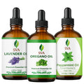 Oregano Aromatic Trio Glass Bottles with Droppers 4 Fl oz L861921