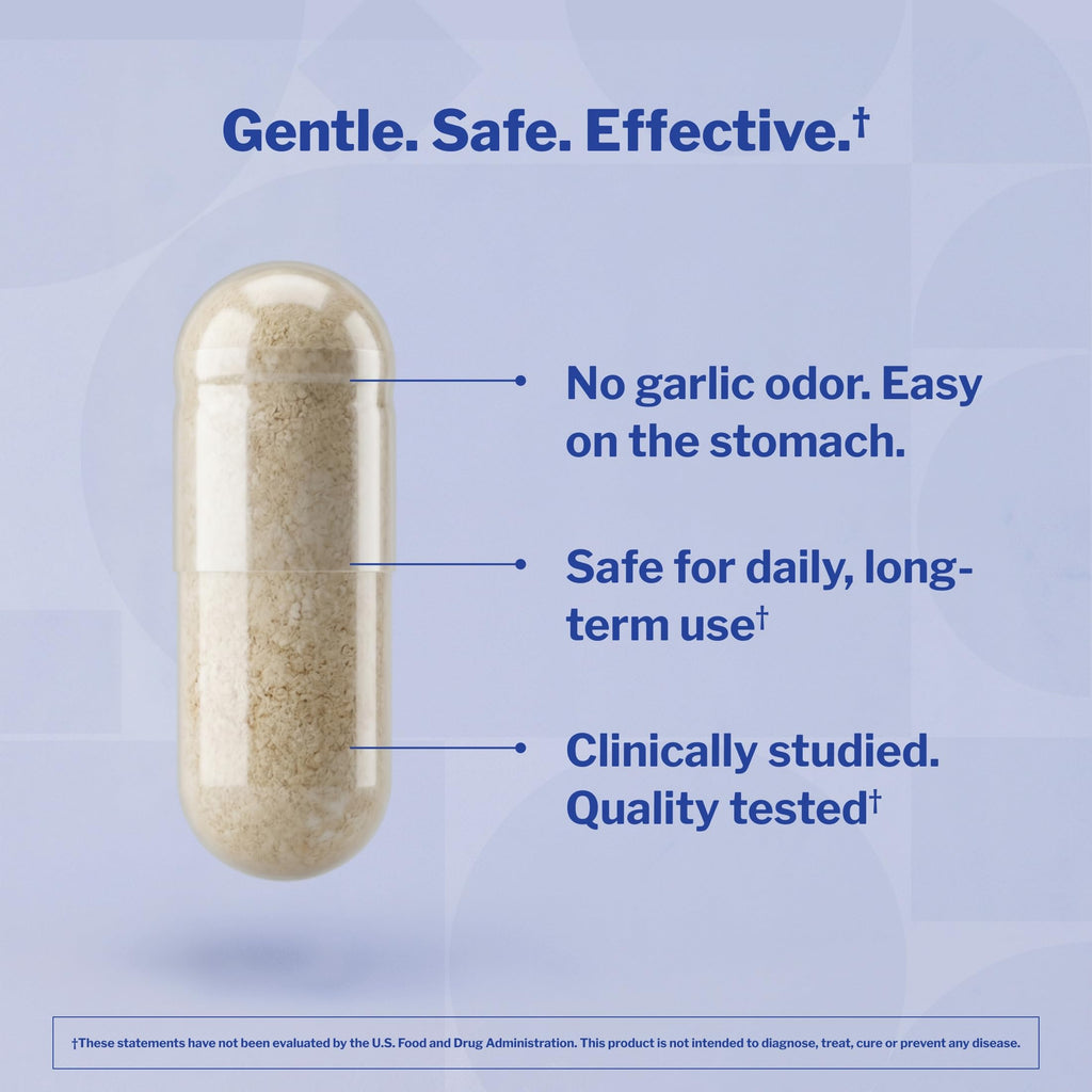 Aged Garlic Extract 240 Capsules R930725