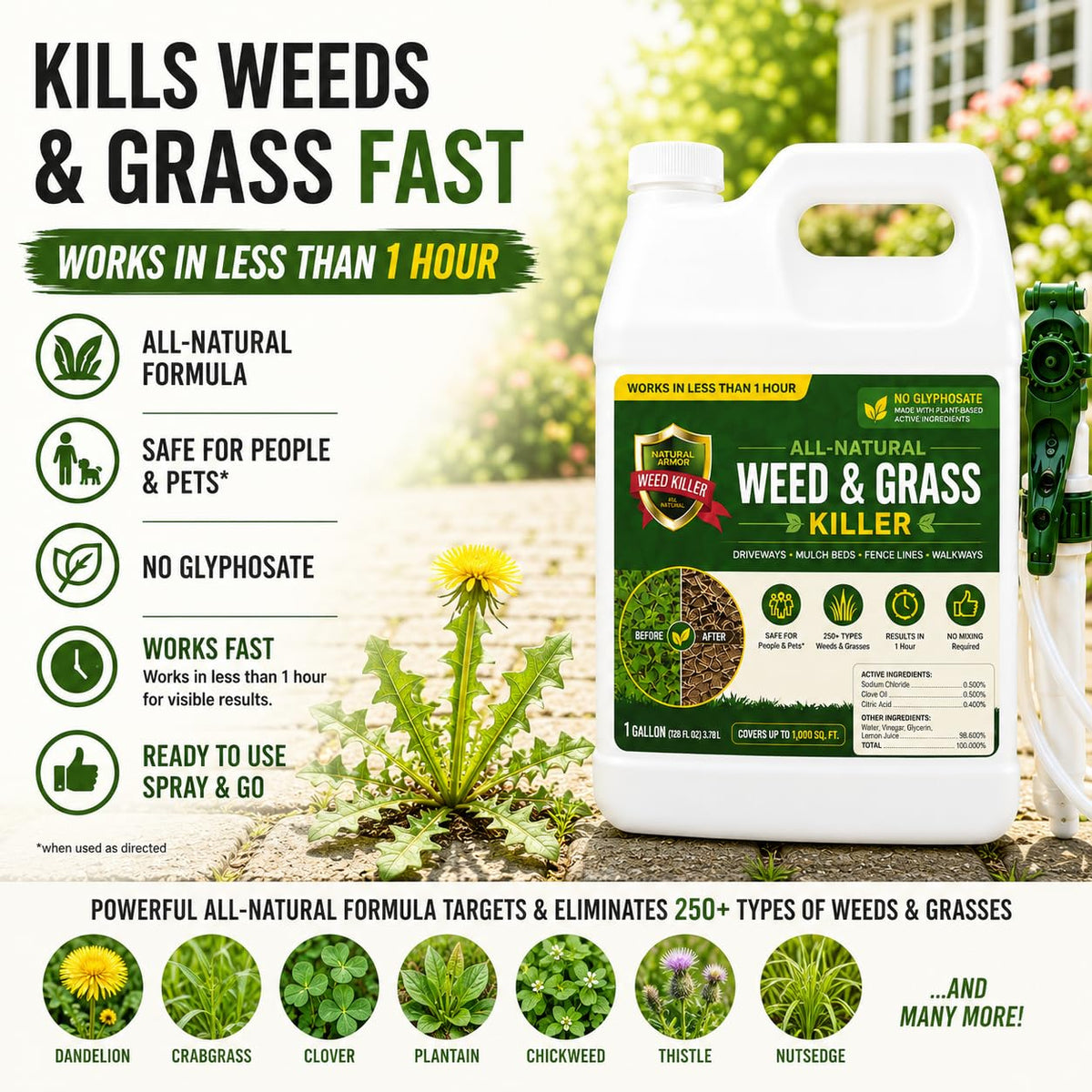 Weed & Grass Killer 1 Gallon with Sprayer F526892