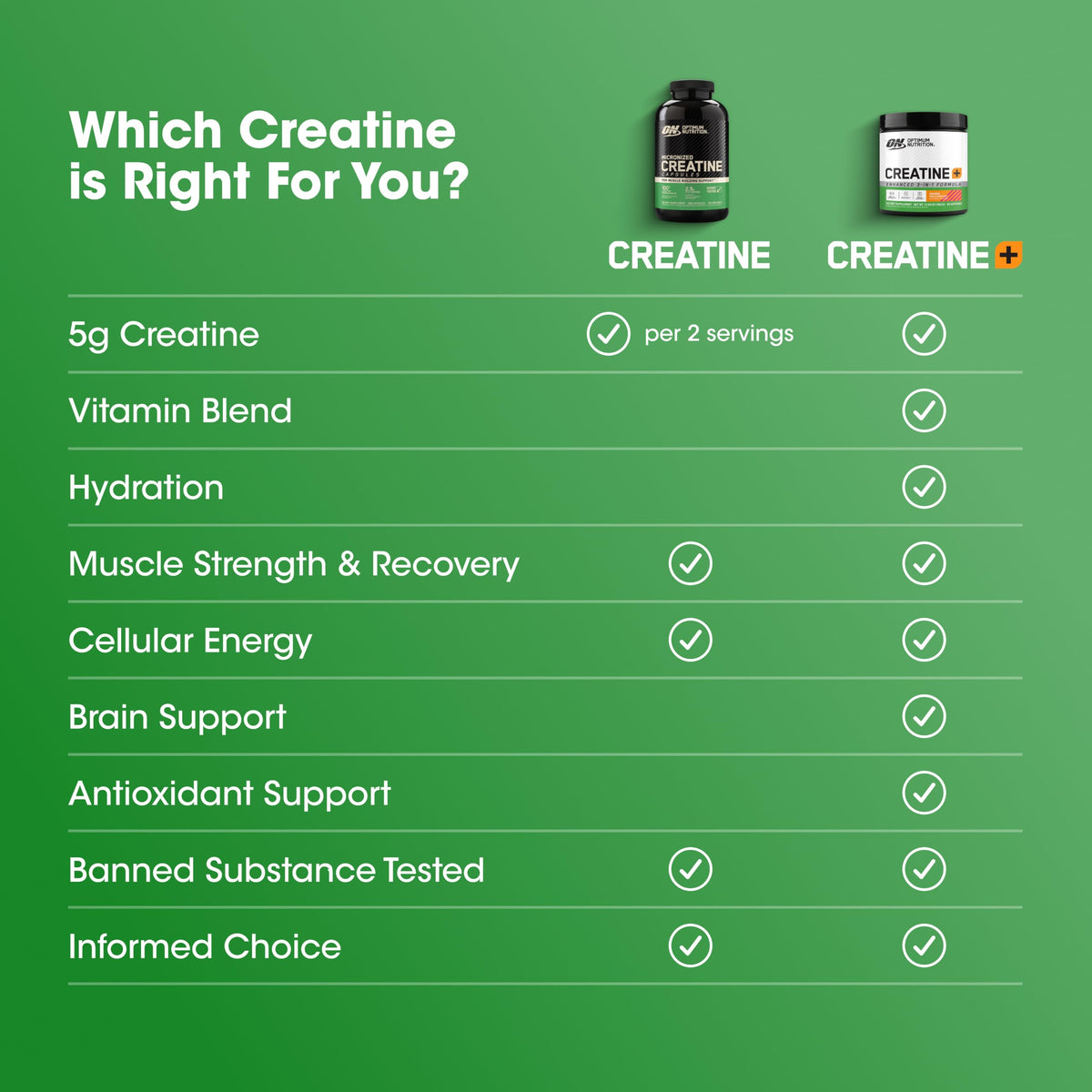 Micronized Creatine Monohydrate Capsules, 200 Ct X220