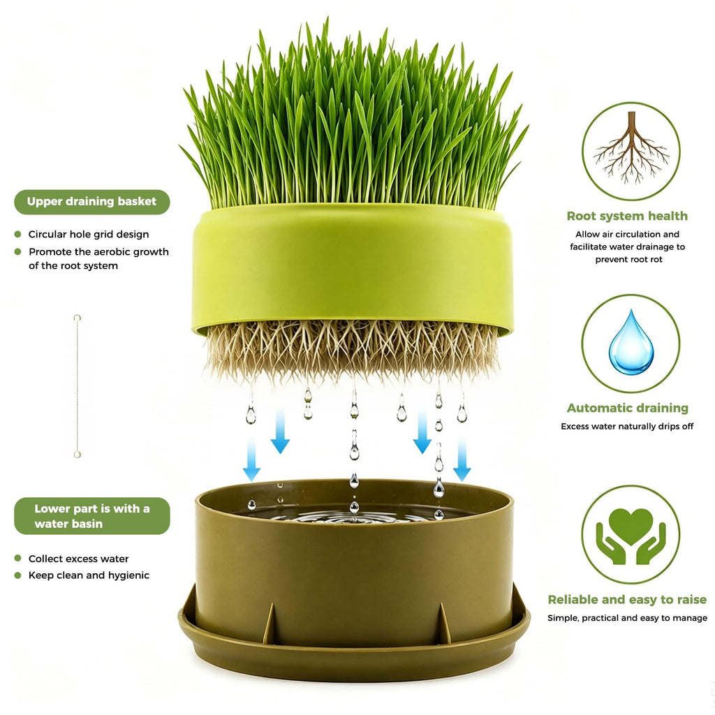 Hydroponic Cat Grass Grow Box C776