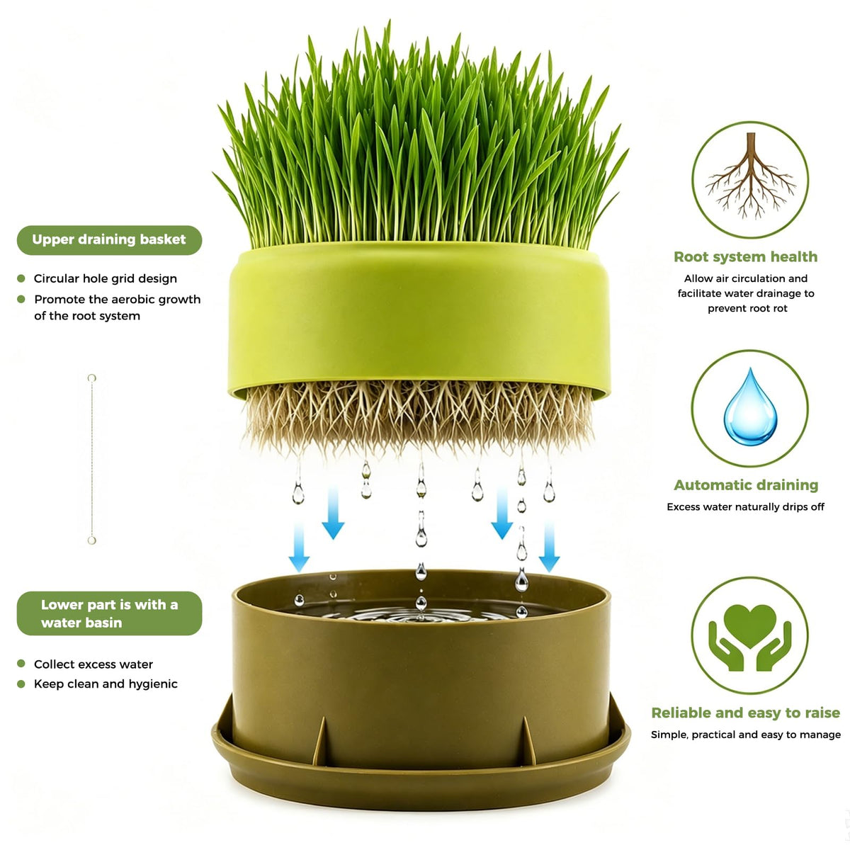Hydroponic Cat Grass Grow Box C776