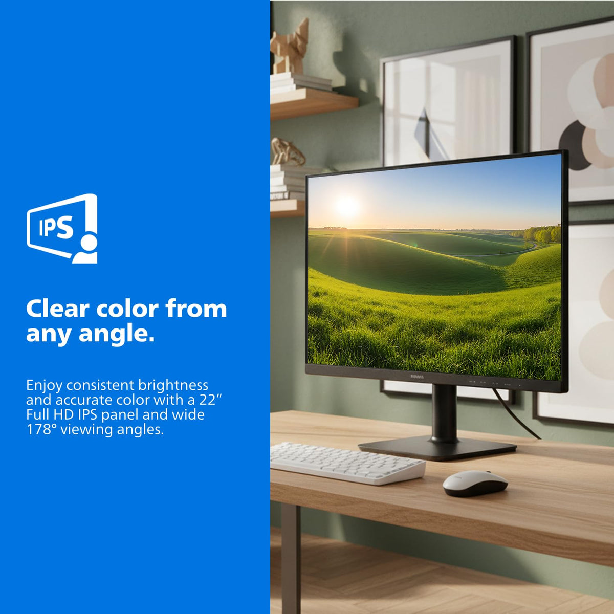 22 Inch FHD 120Hz IPS Computer Monitor X30099