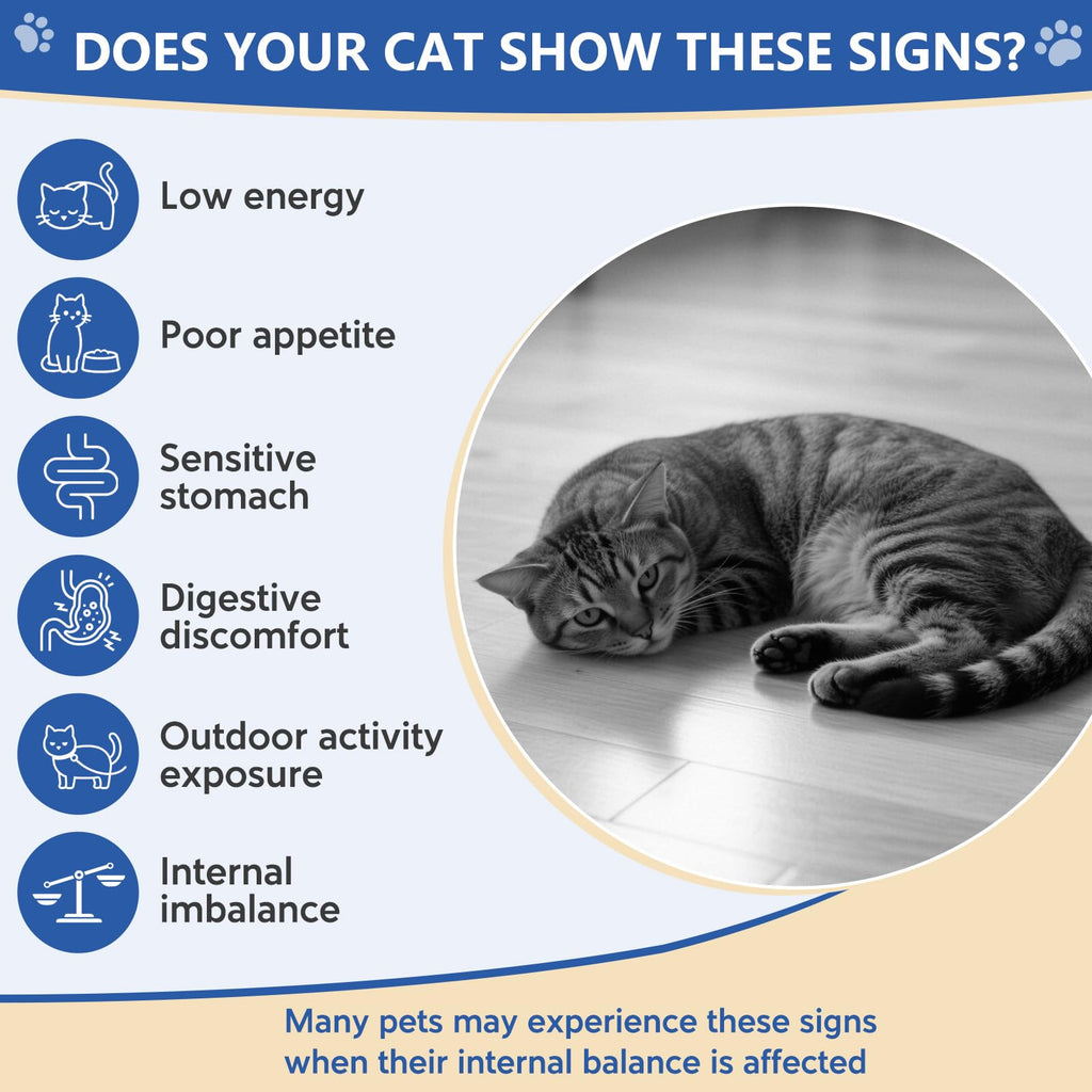 Broad Spectrum Cat Dewormer 100mL M916