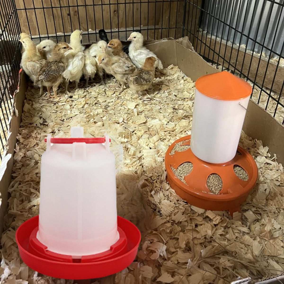 4 Pack 1 L Plastic Poultry Waterer E65221
