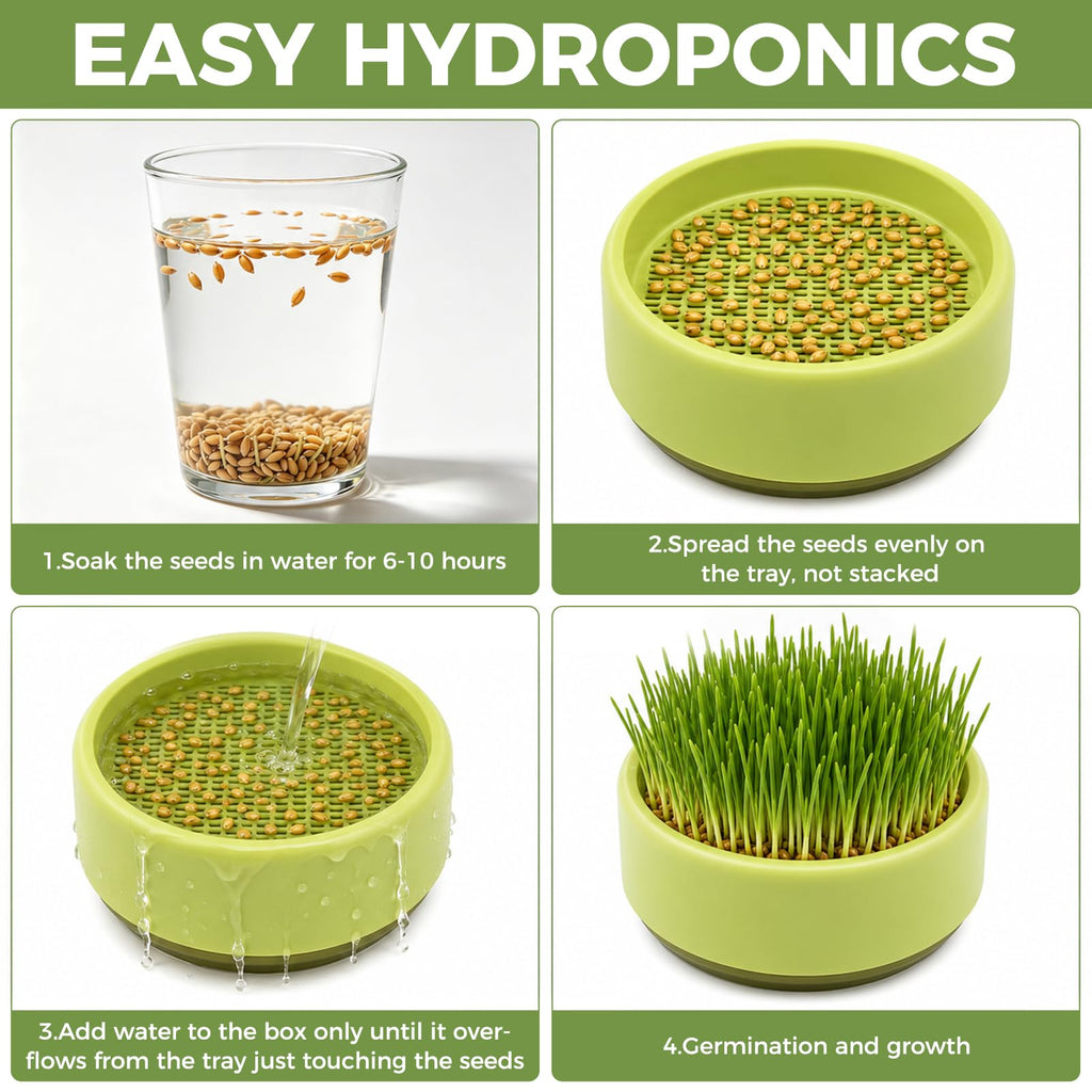Hydroponic Cat Grass Grow Box C776