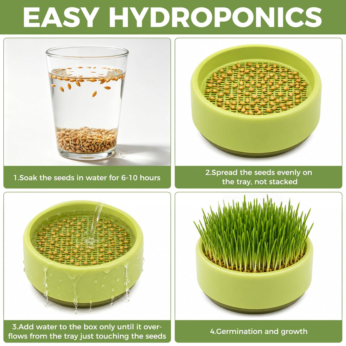 Hydroponic Cat Grass Grow Box C776