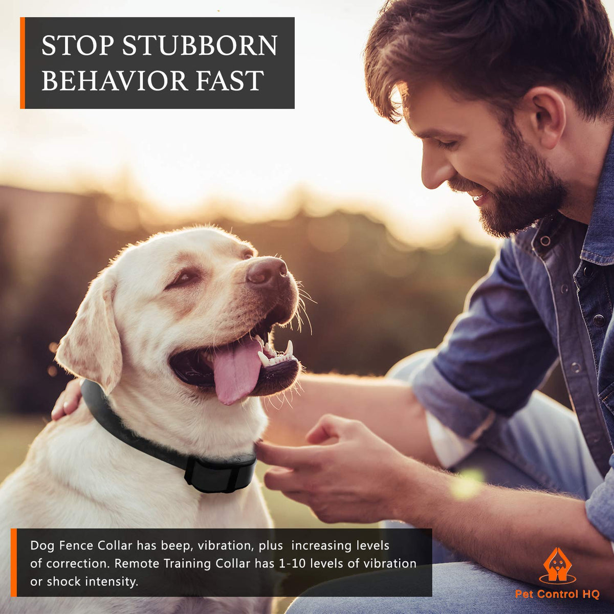 Wireless Dog Fence System with Remote C5628