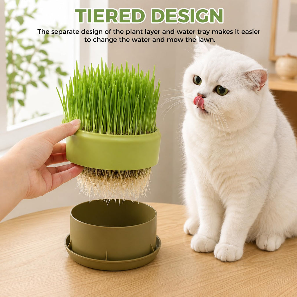 Hydroponic Cat Grass Grow Box C776