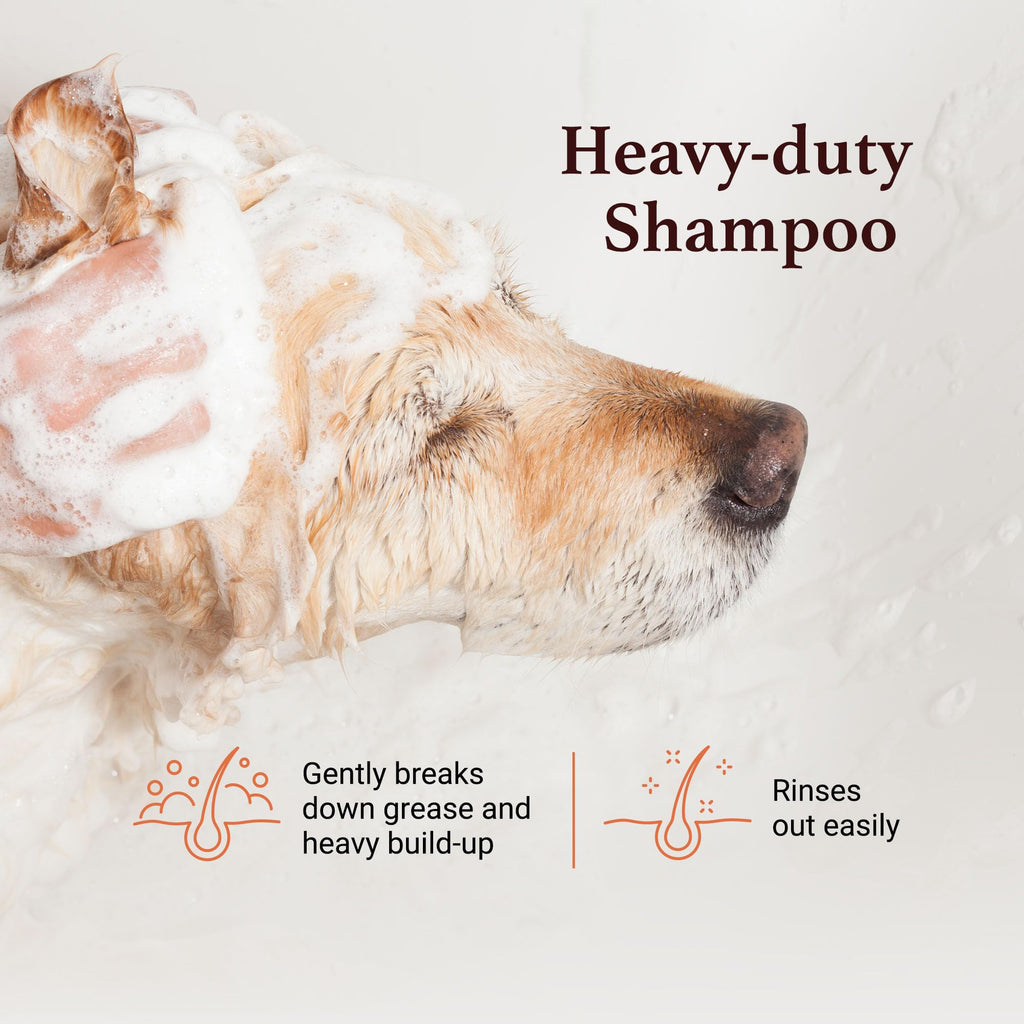 Dog Shampoo Chamomile Extracts 1 GAL W76121