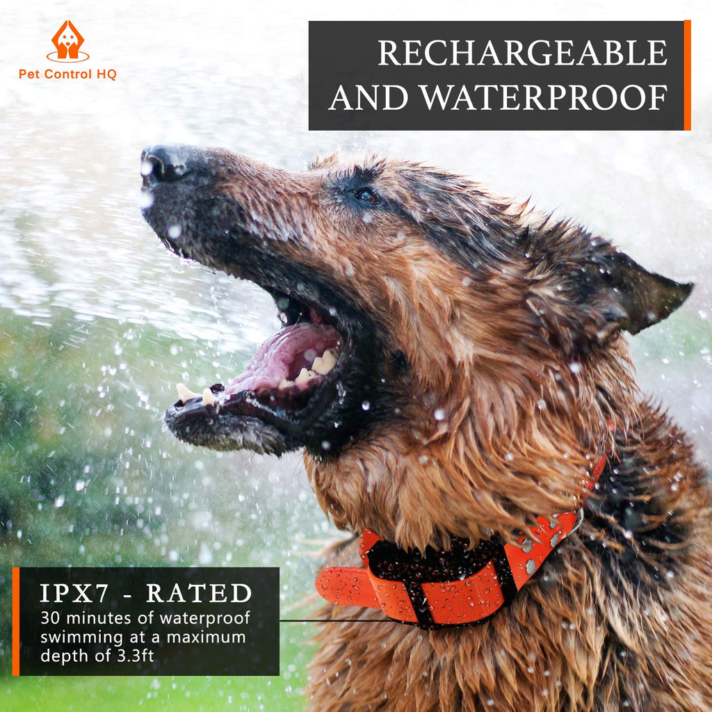Wireless Dog Fence System with Remote C5628