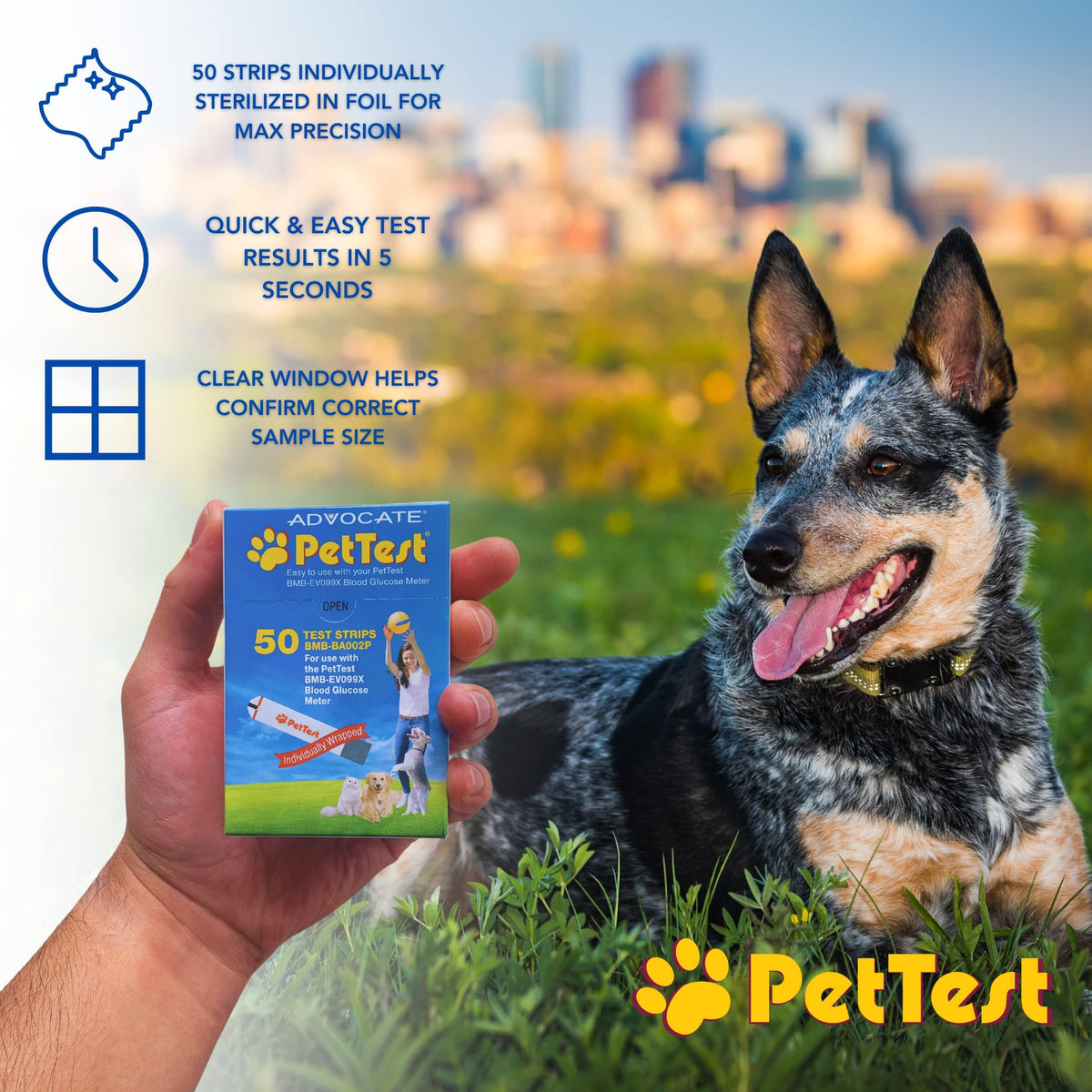 Blood Glucose Test Strips for Dogs & Cats, 50 R845