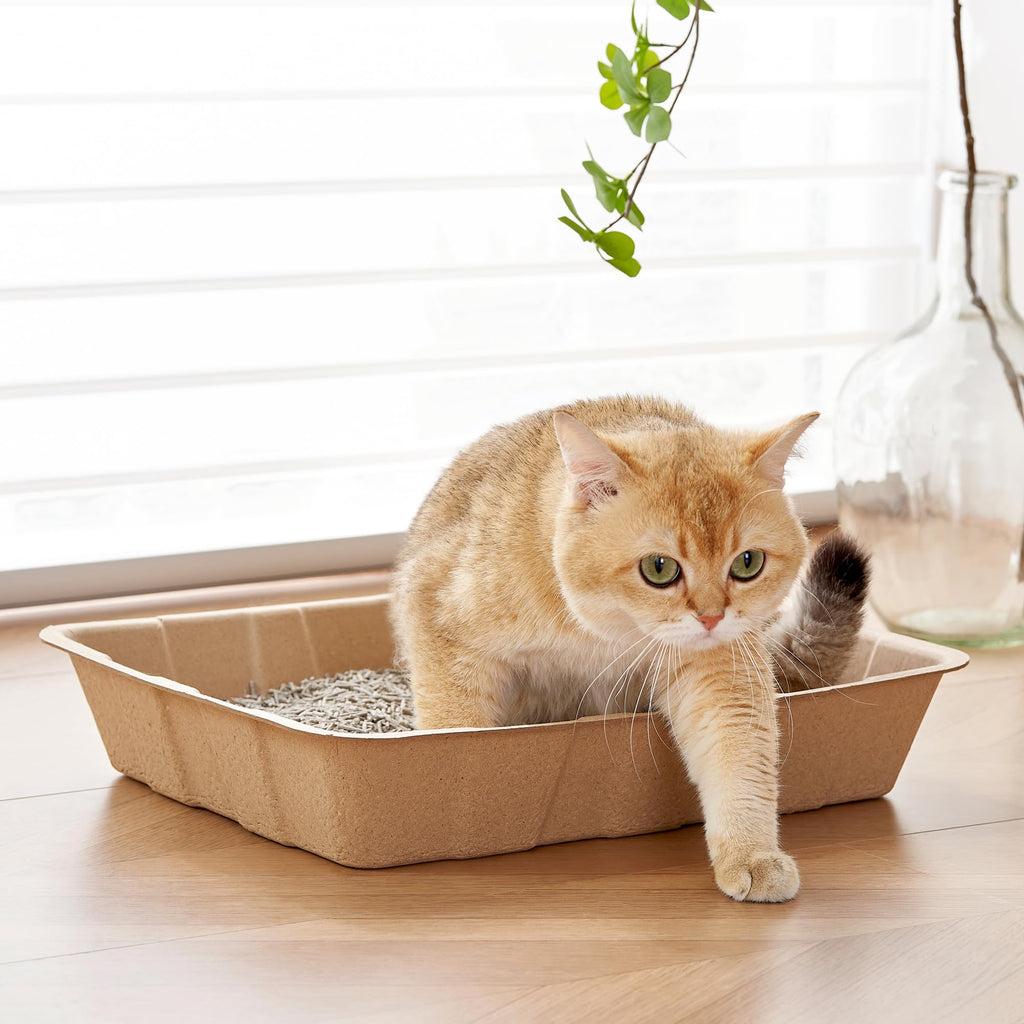 Disposable Cardboard Cat Litter Boxes 5 Pack P717