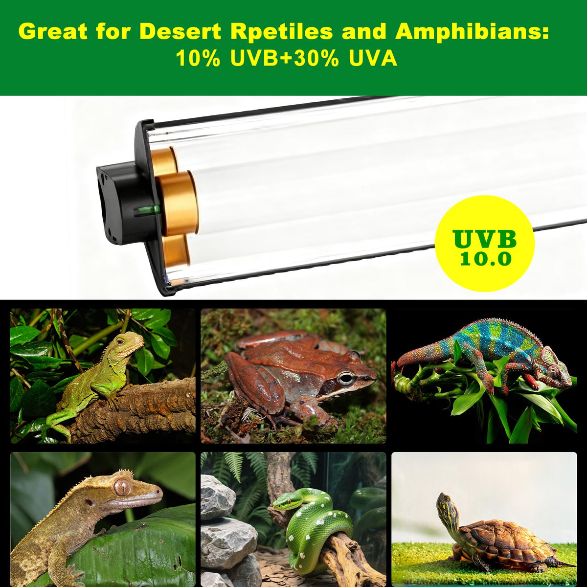 15W T5 HO UVB Terrarium Hood with Detachable Curved Reflector P266528