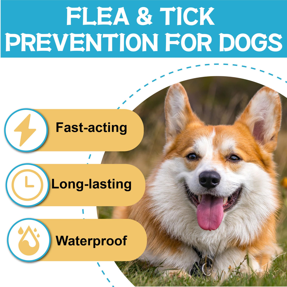 Flea and Tick Prevention for Dogs 6 Doses O5147