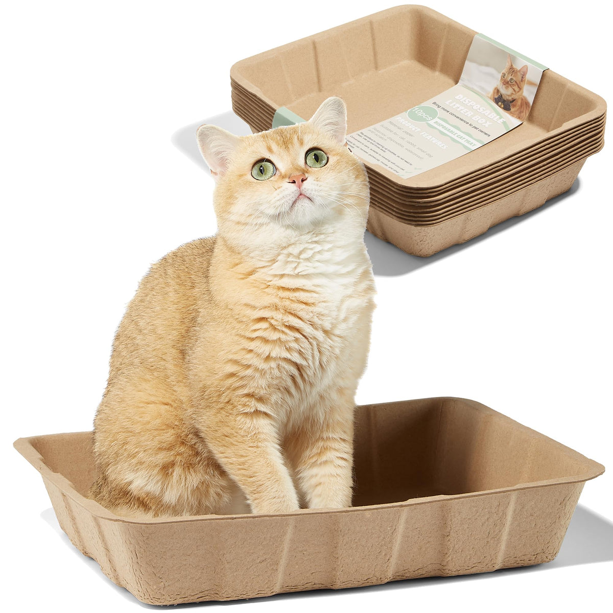 Disposable Cardboard Cat Litter Boxes 5 Pack P717