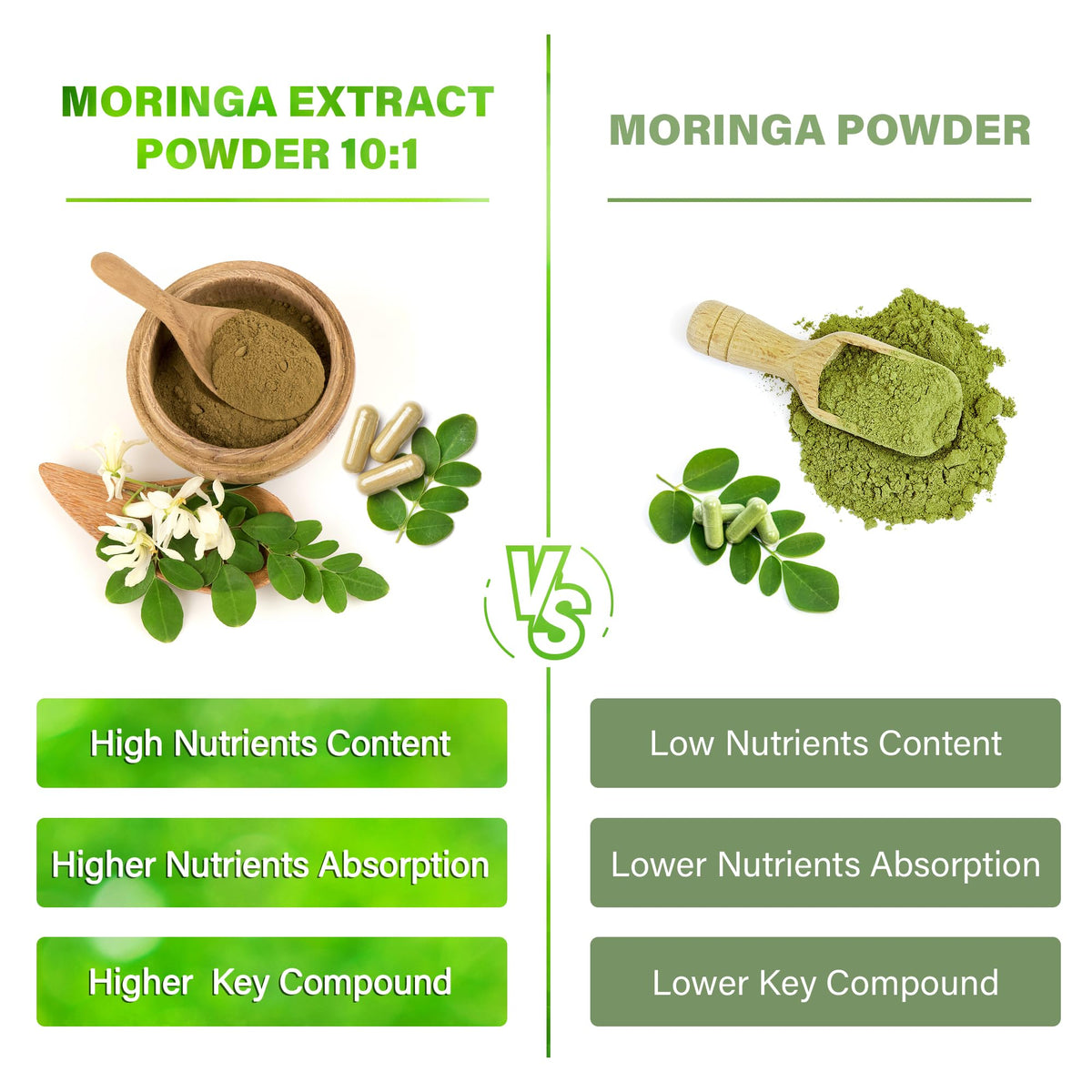 Moringa Oleifera Leaf Extract Capsules 150 Count I2759