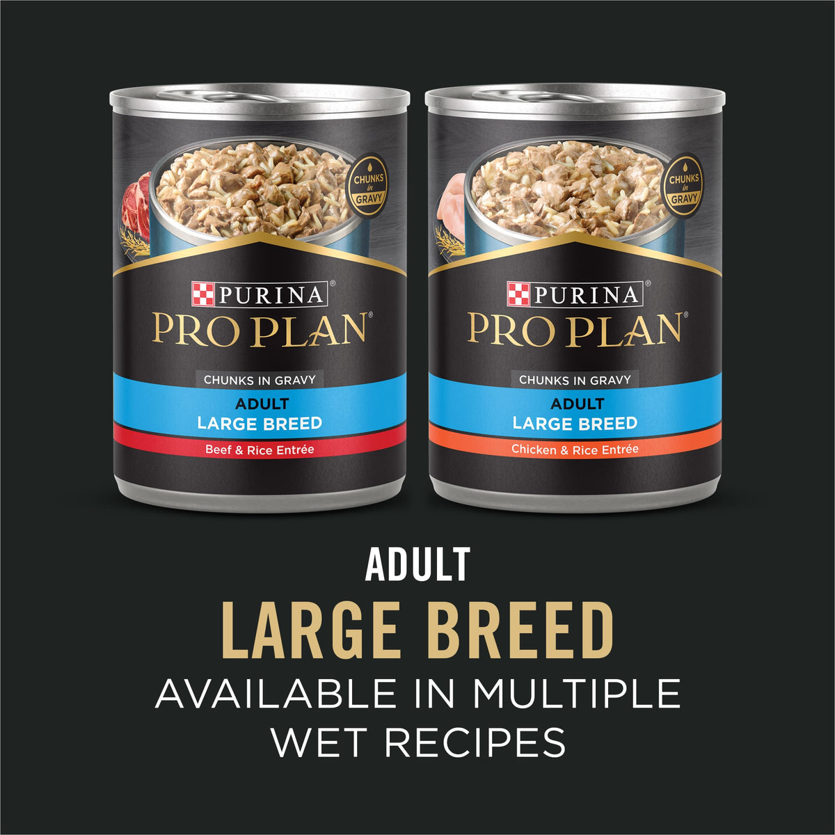 Chicken & Rice Large Breed Dry Dog Food 34 lb Bag M476007