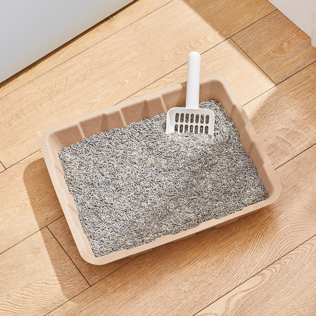 Disposable Cardboard Cat Litter Boxes 5 Pack P717