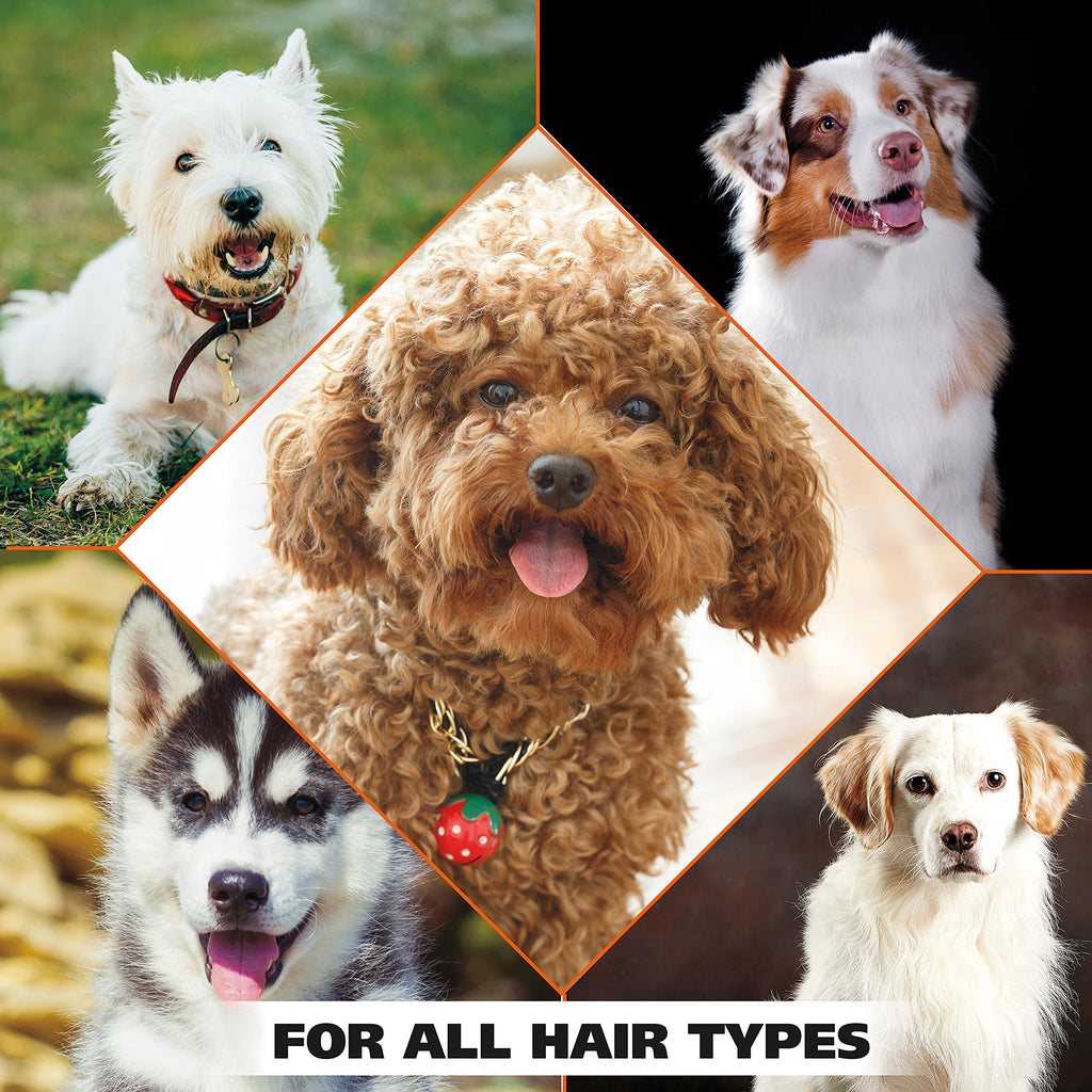 Oatmeal Formula Pet Shampoo 24 Oz G114